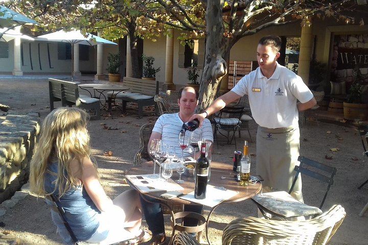 Private Paarl, Franschhoek and Stellenbosch Wine Tour: Fairview, La Motte, Lanzerac (4/12)
