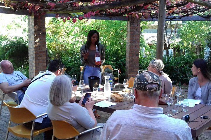 Private Paarl, Franschhoek and Stellenbosch Wine Tour: Fairview, La Motte, Lanzerac (3/12)