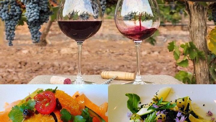 In-Depth Châteauneuf-du-Pape Wine Course: Terroirs, Viticulture and Tastings (3/4)