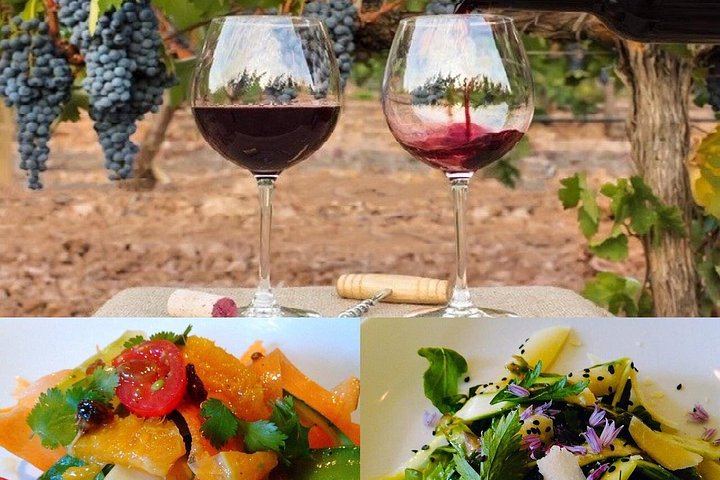 In-Depth Châteauneuf-du-Pape Wine Course: Terroirs, Viticulture and Tastings (3/4)
