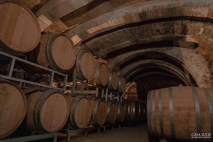 Casa Lucii Organic Winery near San Gimignano: Estate Walk, Vernaccia and Food Pairing (1/10)