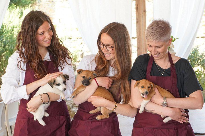 Casa Lucii Organic Winery near San Gimignano: Estate Walk, Vernaccia and Food Pairing (5/10)