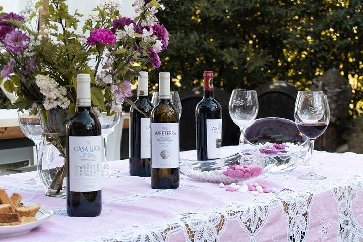 Casa Lucii Organic Winery near San Gimignano: Estate Walk, Vernaccia and Food Pairing (6/10)