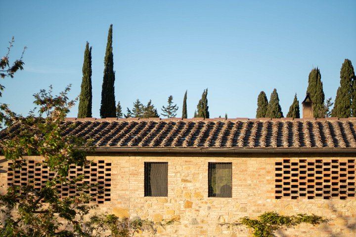 Casa Lucii Organic Winery near San Gimignano: Estate Walk, Vernaccia and Food Pairing (10/10)