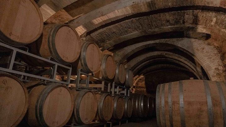 Casa Lucii Organic Winery near San Gimignano: Estate Walk, Vernaccia and Food Pairing (1/10)