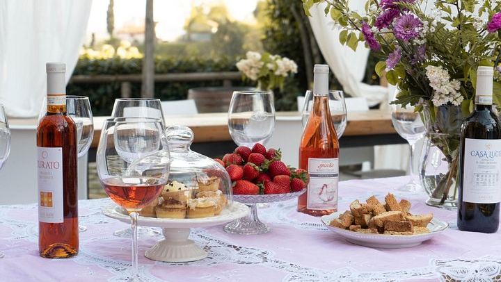 Casa Lucii Organic Winery near San Gimignano: Estate Walk, Vernaccia and Food Pairing (4/10)