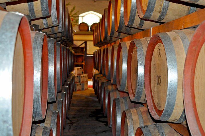 Barossa and Hahndorf Sightseeing Wine Tour via Mt Lofty, Melba's and Seppeltsfield (1/4)