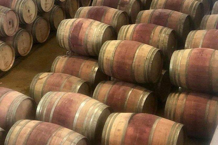African Story 8-Hour Winelands Tour: Paarl, Franschhoek and Stellenbosch Estates (9/12)