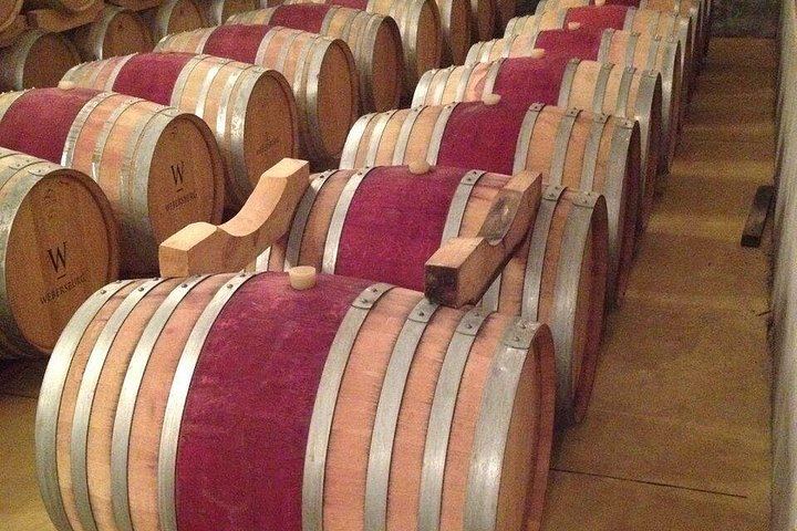 Stellenbosch Small-Group Wine Tour, Max 8 Guests, Changing Daily Route (7/12)