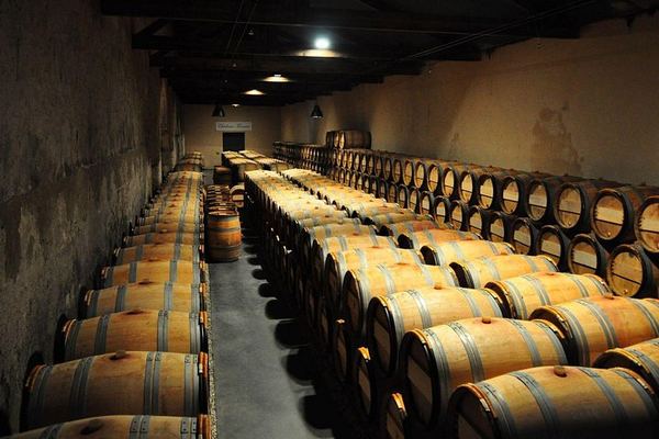 Full-Day Médoc Wine Tour from Bordeaux: Three Wineries, Classified Growths, 9:30am Start