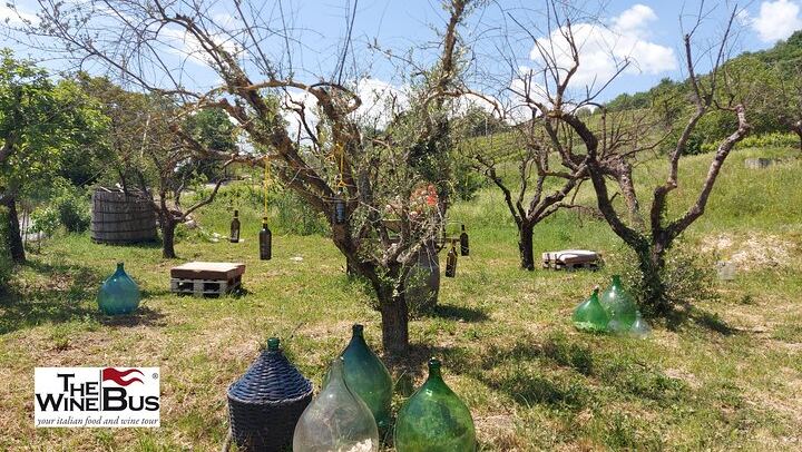 Private Full-Day Irpinia Wine Tour from Sorrento with a Sommelier and Two Wineries (3/12)