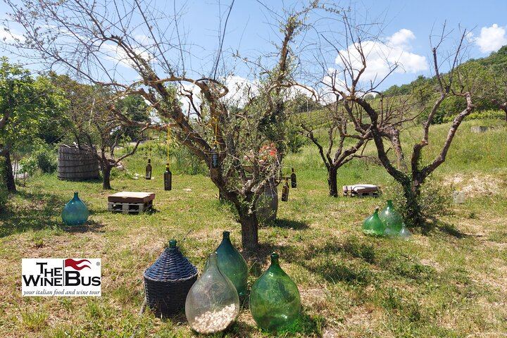 Private Full-Day Irpinia Wine Tour from Sorrento with a Sommelier and Two Wineries (3/12)
