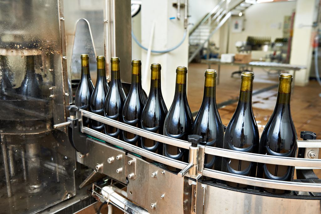 Row of dark glass wine bottles travelling along a stainless steel conveyor on a winery bottling line