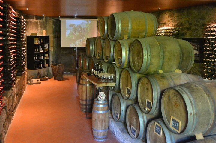 Douro Three-Winery Small-Group Tour from Porto: Régua, Lunch and Sabrosa Tasting (6/12)