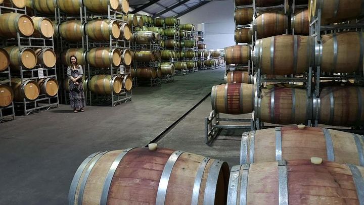 Private 5-Hour Cape Winelands Tour from Cape Town: Stellenbosch Drive and Vineyards (3/12)