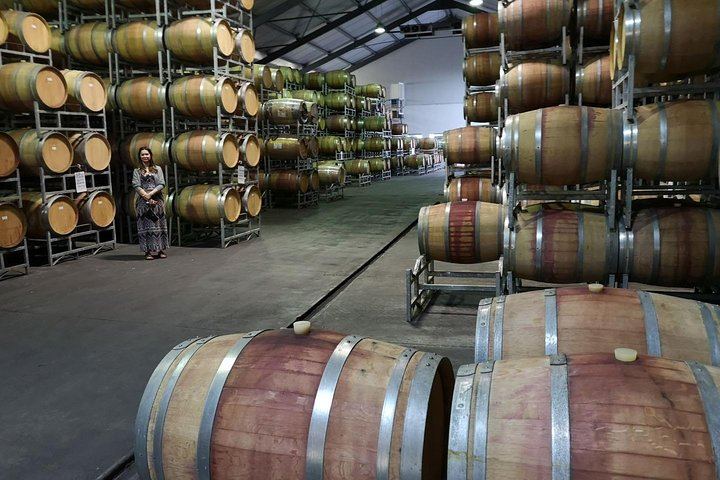 Private 5-Hour Cape Winelands Tour from Cape Town: Stellenbosch Drive and Vineyards (3/12)