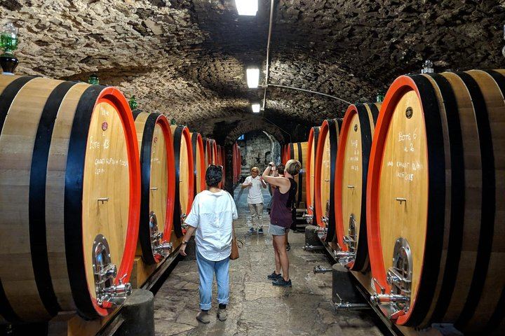 Small-Group Chianti Tasting from Florence at a 12th-Century Villa: Seven Wines and Lunch (6/9)