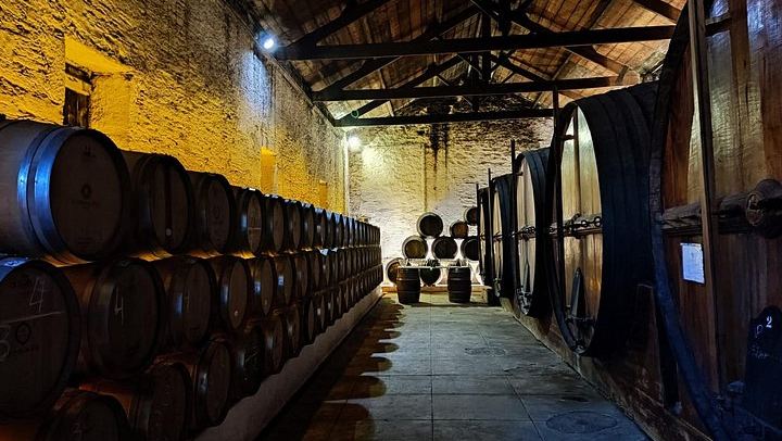 Pinhão Winery Visit at Quinta da Foz: Cellar, Vinification and Five-Wine Tasting (3/6)