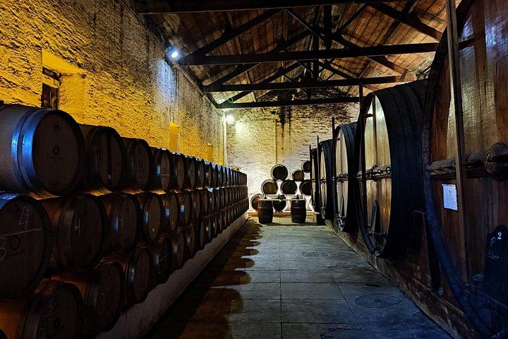 Pinhão Winery Visit at Quinta da Foz: Cellar, Vinification and Five-Wine Tasting (3/6)