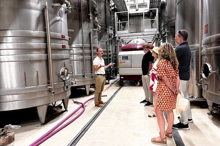 Half-Day Bellet Wine Tour from Nice: Two Wineries, Eight Wines, Small Minivan Group (6/8)