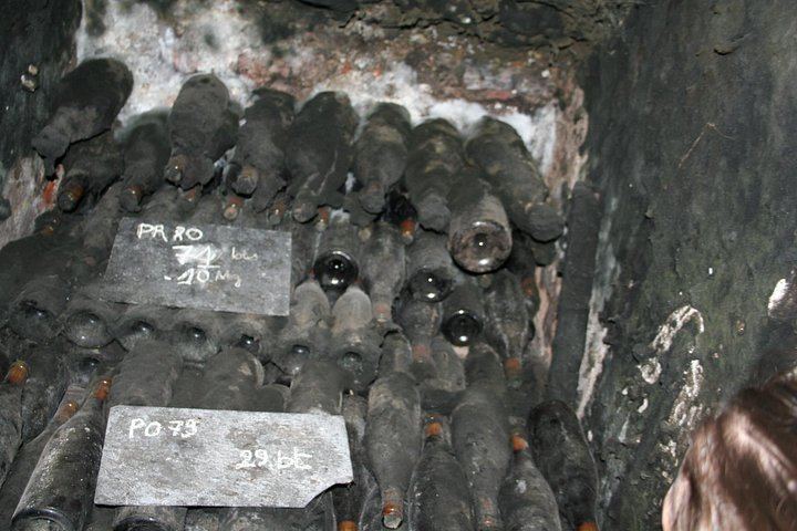 Full-Day E-Bike Wine Ride in the Côte de Nuits from Dijon: Clos de Vougeot and Lunch (4/4)
