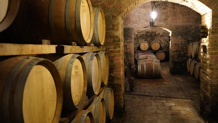 Small-Group Chianti Half-Day: Two Family Wineries, 8 Wines and Home-Cooked Lunch, Max 8 (4/12)