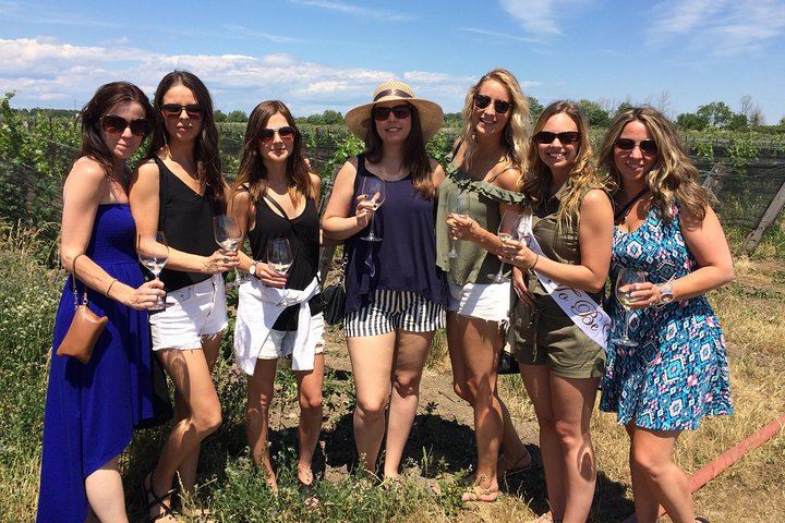 Niagara-on-the-Lake Small Group Wine Tour: 3 Wineries and Picnic Lunch, 5.5 Hours (6/11)