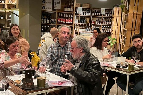 One-Hour Organic Catalan Wine and Artisan Cheese Tasting at Viniteca Vinya Celler Masia