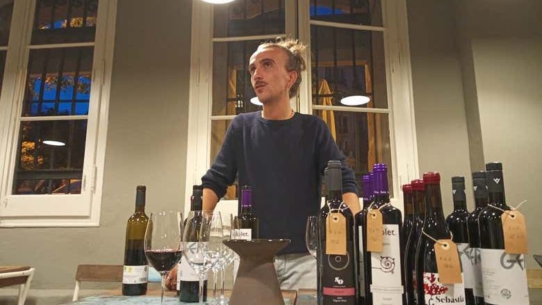 One-Hour Organic Catalan Wine and Artisan Cheese Tasting at Viniteca Vinya Celler Masia (2/6)