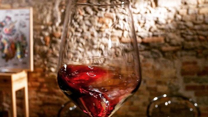 Barolo Estate in Monforte d'Alba: 11-Hectare Vineyard Visit, Wine and Venchi Chocolate (4/12)
