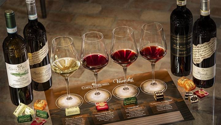 Barolo Estate in Monforte d'Alba: 11-Hectare Vineyard Visit, Wine and Venchi Chocolate (3/12)