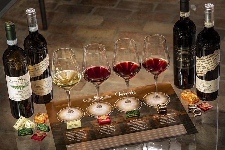 Barolo Estate in Monforte d'Alba: 11-Hectare Vineyard Visit, Wine and Venchi Chocolate (3/12)
