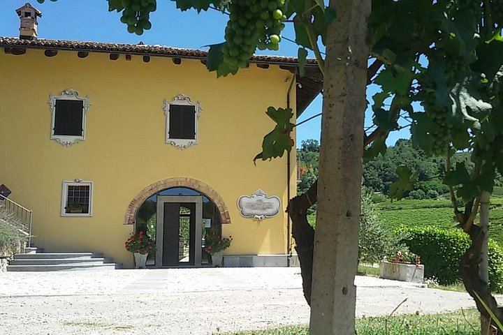 Barolo Estate in Monforte d'Alba: 11-Hectare Vineyard Visit, Wine and Venchi Chocolate (12/12)
