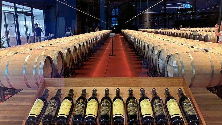 Private Napa or Sonoma Wine Tour in a New Luxury Van for Groups of Up to 8 (1/12)