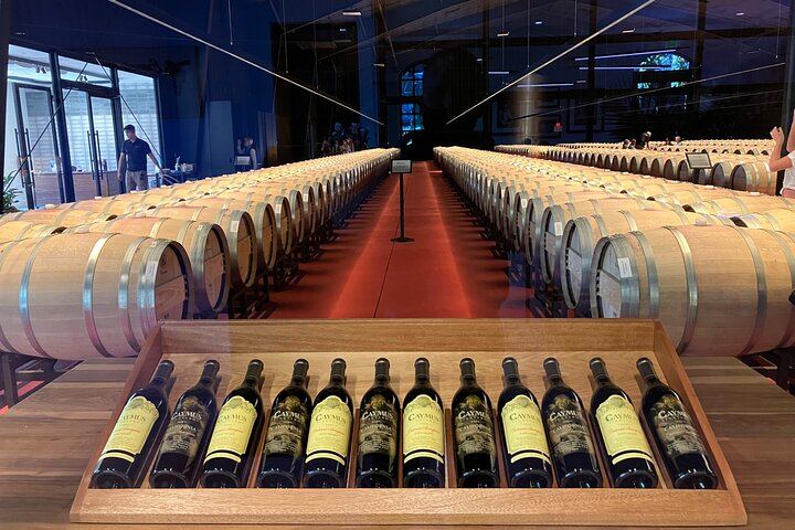 Private Napa or Sonoma Wine Tour in a New Luxury Van for Groups of Up to 8 (1/12)