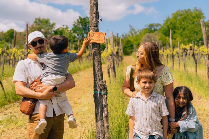 Cortecorbo Winery Day in Irpinia: Wood-Fired Pizza or Ravioli Class, Lunch and 6 Wines (7/12)