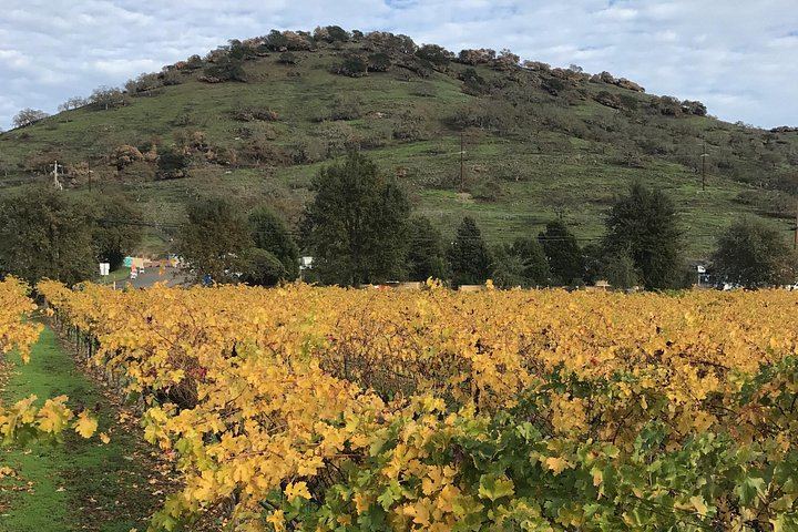 Customized 8-Hour Private Sonoma and Napa Wine Day from San Francisco in an XL SUV (8/12)