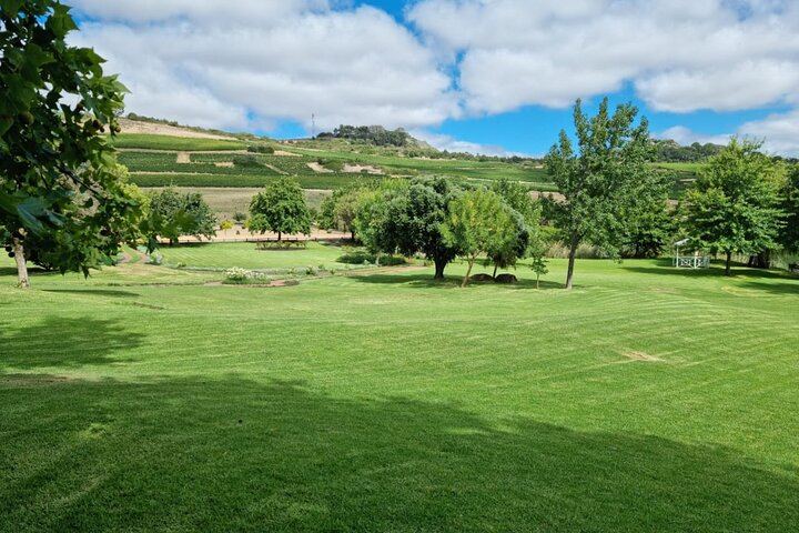 Cape Winelands Day Tour from Cape Town: Stellenbosch, Franschhoek and Paarl Tastings (11/12)
