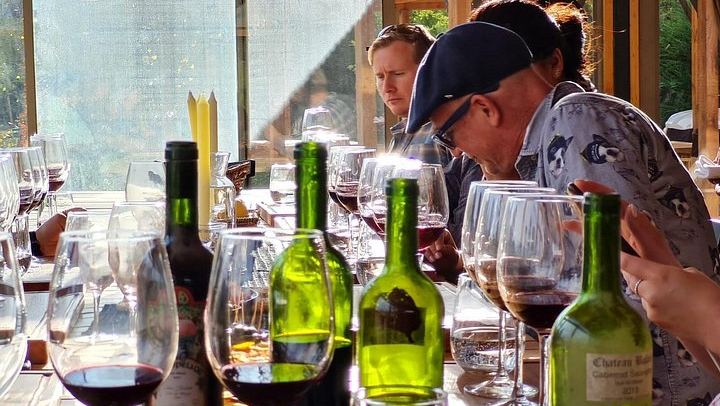 Maipo Valley Wine and Food Trail: Three Vineyards, Fire-Grilled Lunch, Pisco (4/12)