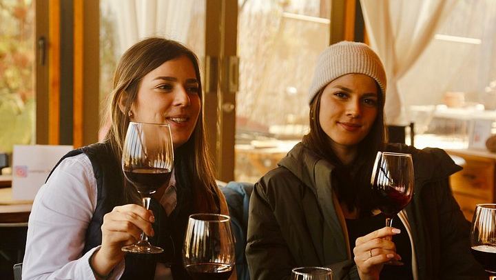 Maipo Valley Wine and Food Trail: Three Vineyards, Fire-Grilled Lunch, Pisco (1/12)