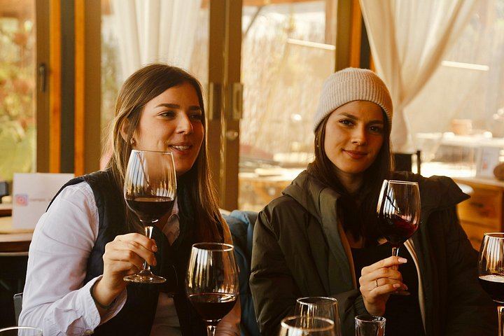 Maipo Valley Wine and Food Trail: Three Vineyards, Fire-Grilled Lunch, Pisco (1/12)