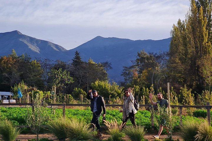 Maipo Valley Wine and Food Trail: Three Vineyards, Fire-Grilled Lunch, Pisco (9/12)