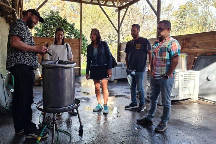 Maipo Valley Wine and Food Trail: Three Vineyards, Fire-Grilled Lunch, Pisco (6/12)