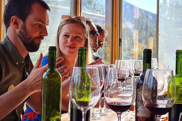 Maipo Valley Wine and Food Trail: Three Vineyards, Fire-Grilled Lunch, Pisco (7/12)