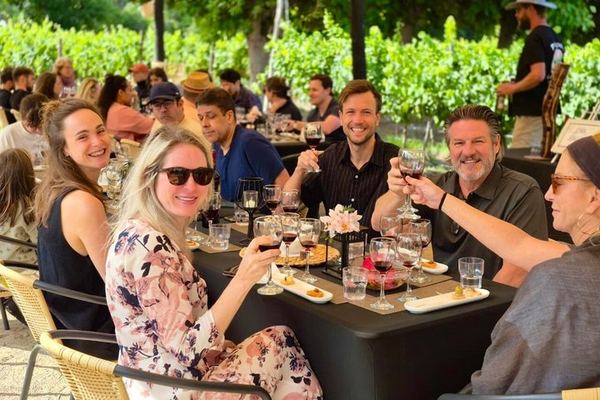 Maipo Valley Wine and Food Trail: Three Vineyards, Fire-Grilled Lunch, Pisco