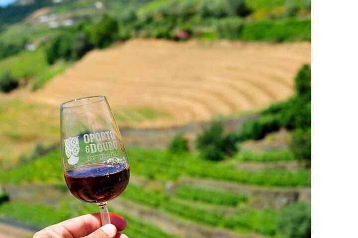 Private Douro Wine Lovers' Tour: Vineyard Walk, Boutique Family Winery and Hotel Pickup (5/9)