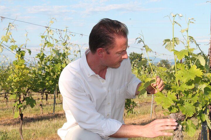 Private Full-Day Provence Wine Tour with Hotel Pickup from Marseille, Aix or Avignon (9/10)