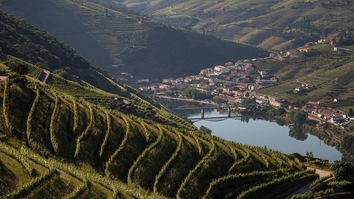 Sommelier-Led Boutique Cellar Visit with Premium Tastings, Sabre Bottle and Rabelo Boat (2/11)