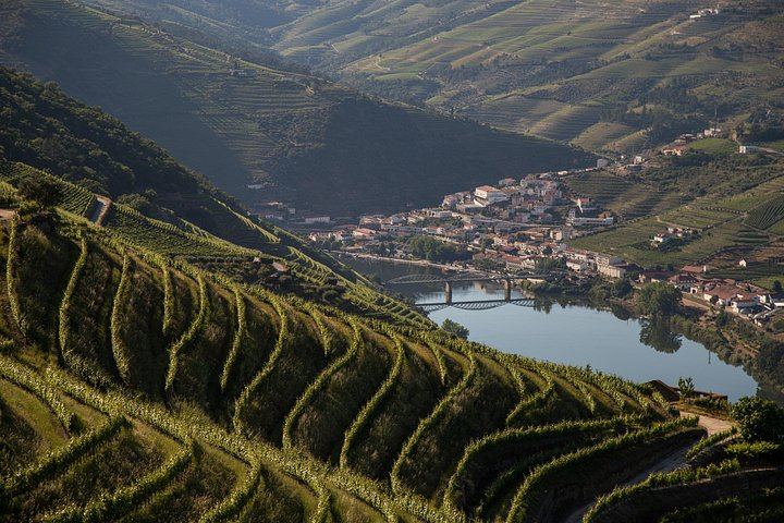 Sommelier-Led Boutique Cellar Visit with Premium Tastings, Sabre Bottle and Rabelo Boat (2/11)