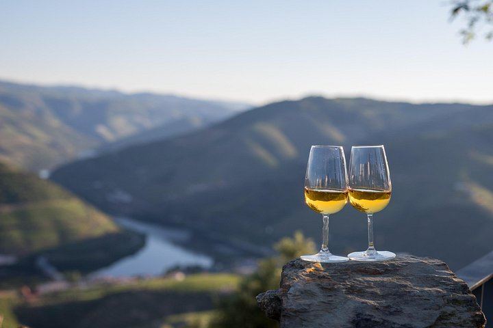 Sommelier-Led Boutique Cellar Visit with Premium Tastings, Sabre Bottle and Rabelo Boat (4/11)